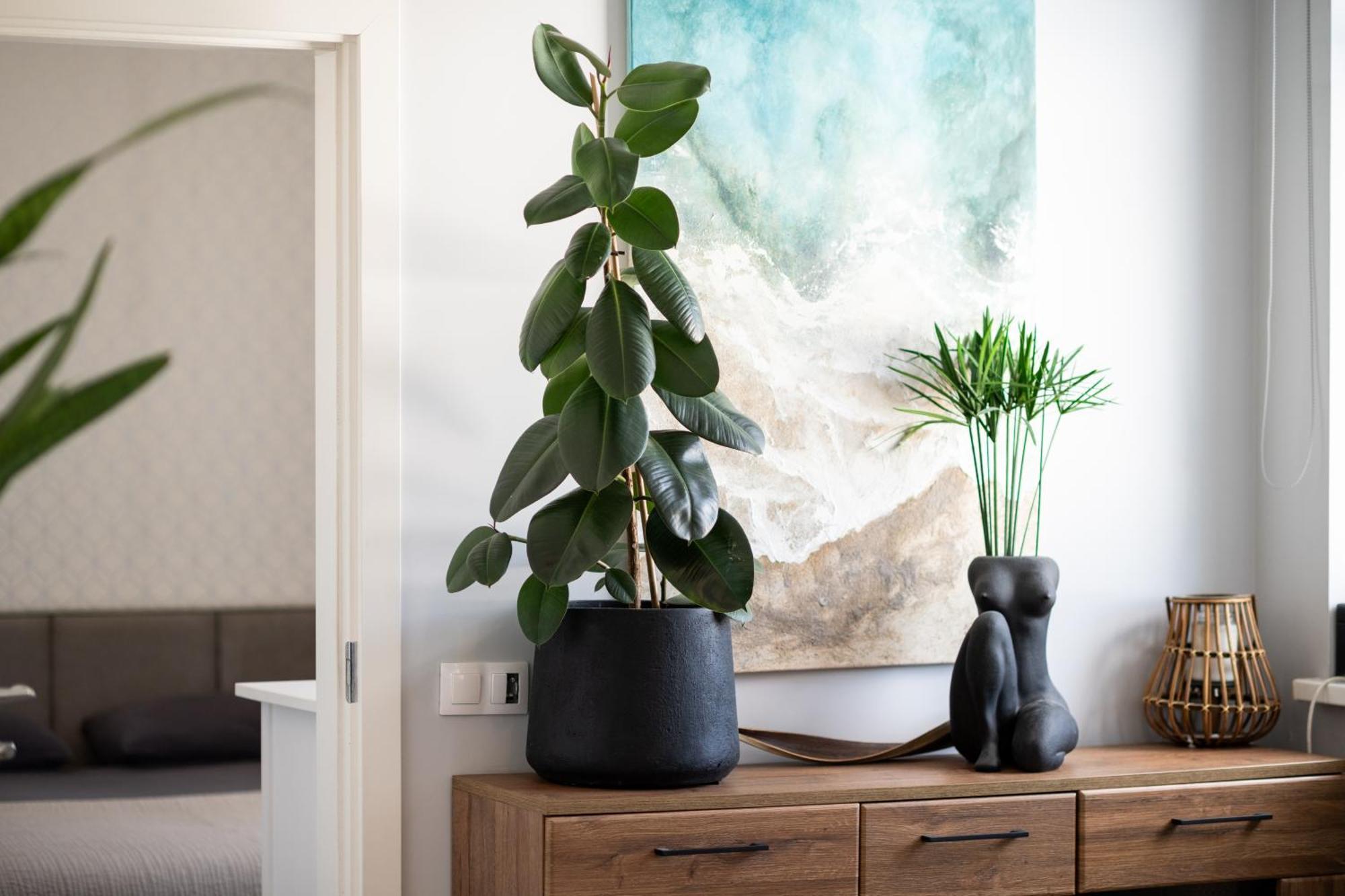 Old Town Apartment Klaipeda Free Parking 외부 사진